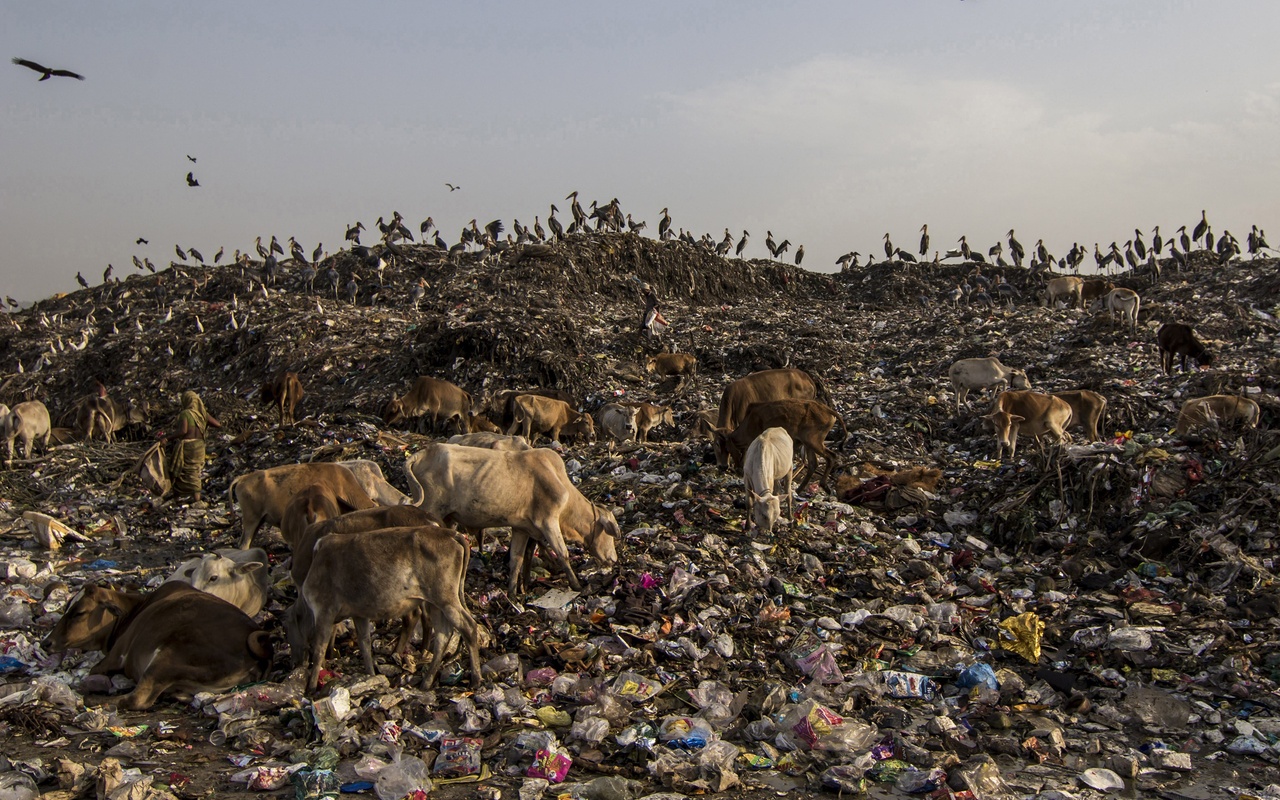 Waste dumping in India