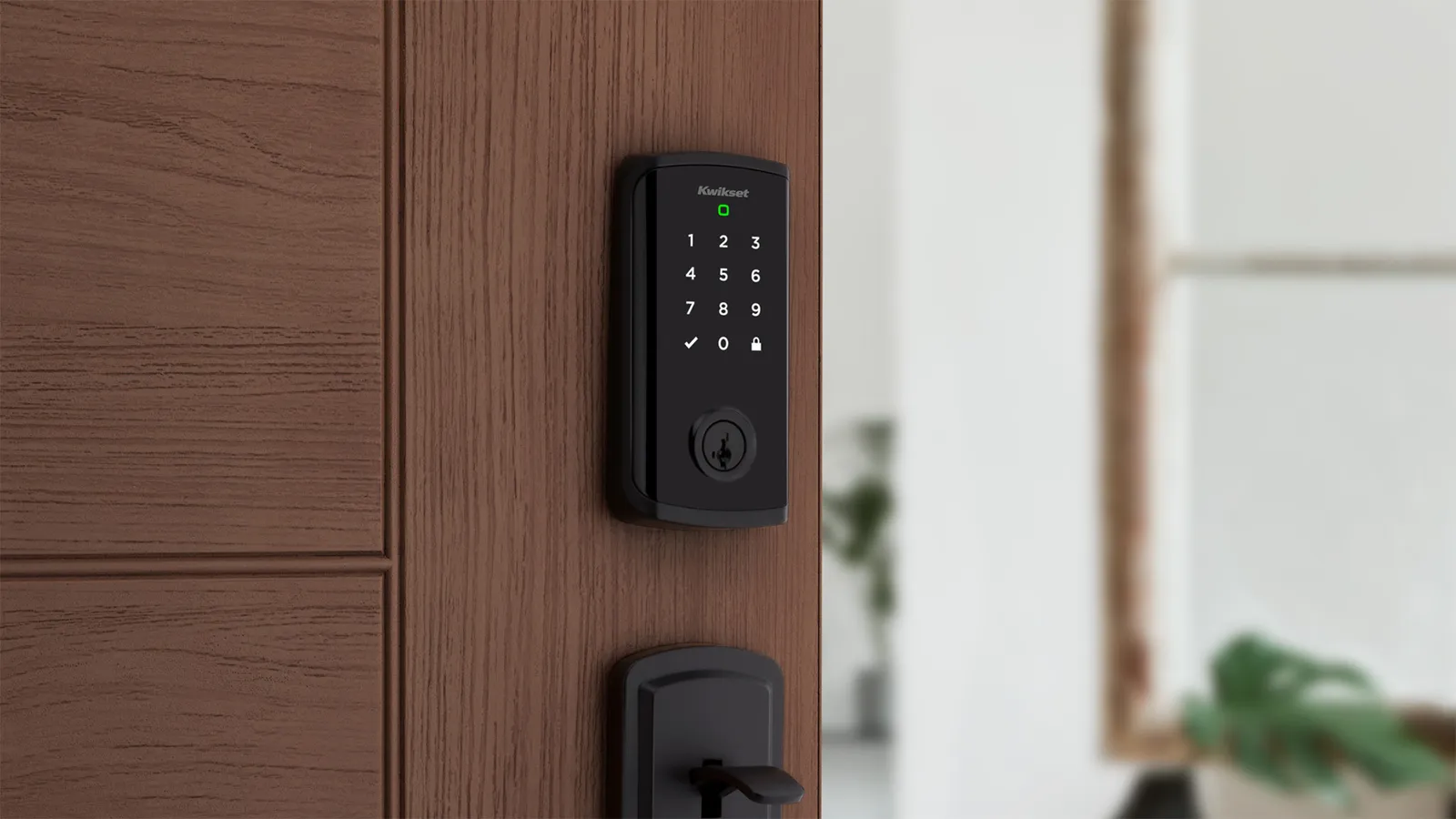 A black keypad on a dark wood door.