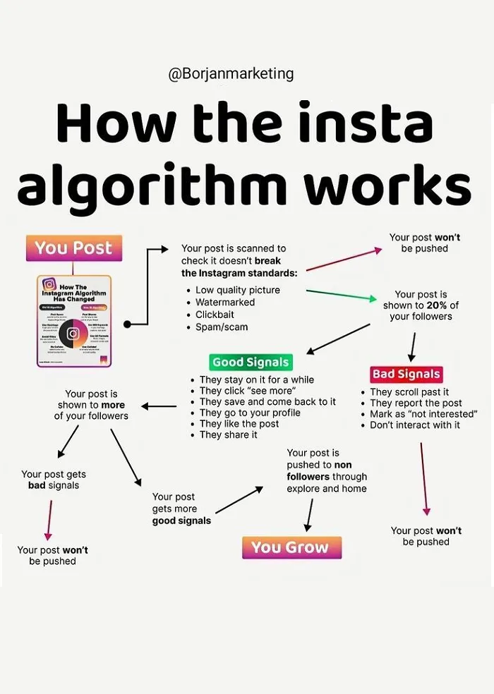 How the Instagram Algorithm Works infographic