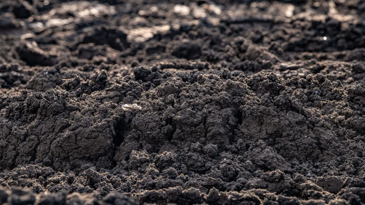 A pile of dirt-like substance.