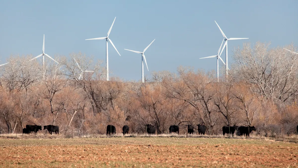 An Oklahoma wind farm, cattle ranch and crop lands.