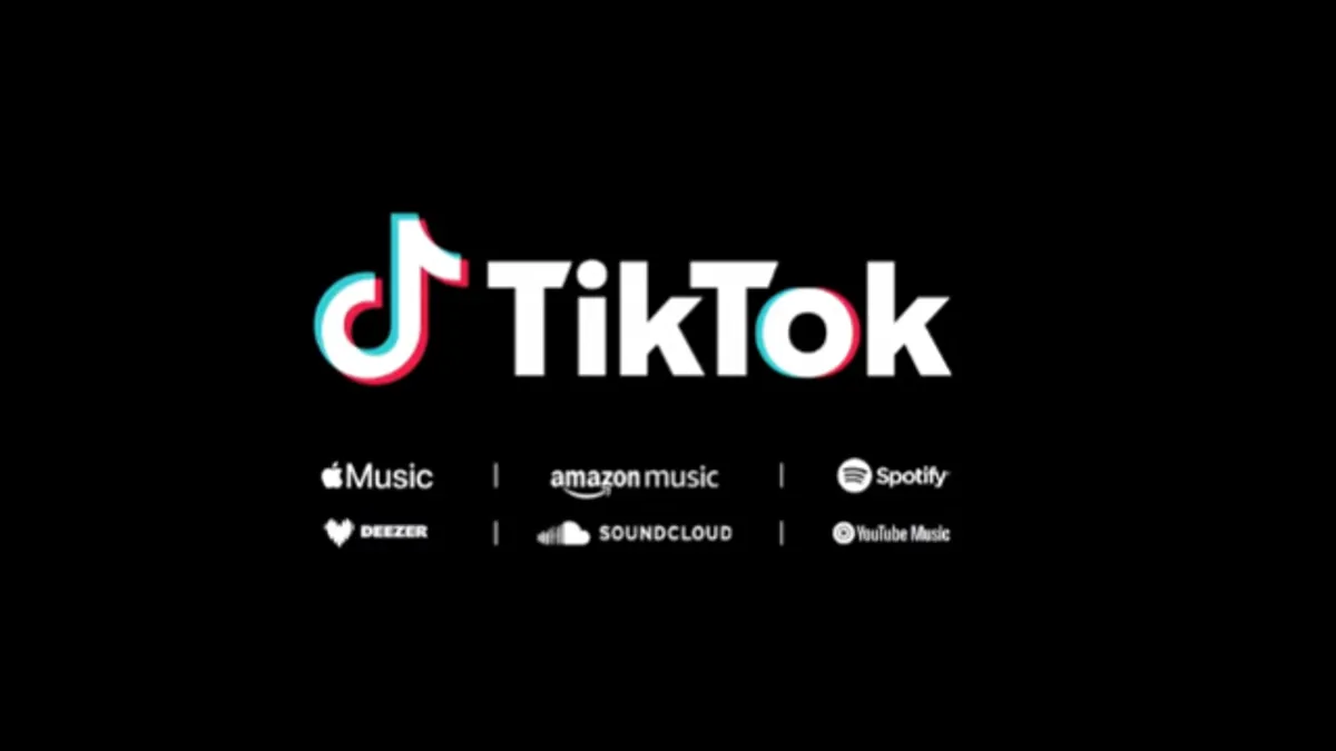 TikTok add to music app