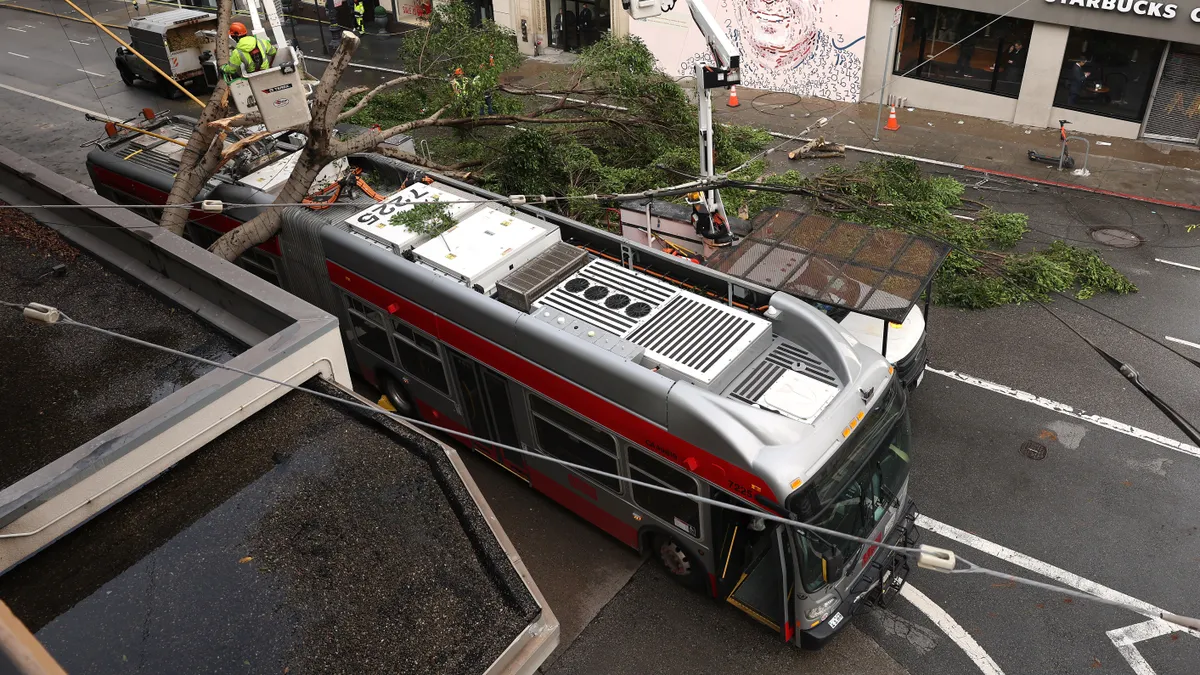 A view looking down on a San Francisco transit bus with a tree fallen on top in the middle of a street.