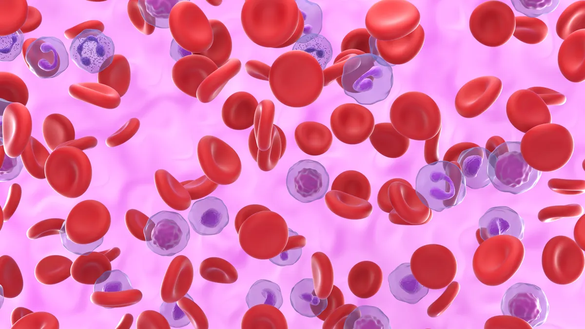 An illustration of red and white blood cells clustered against a pink background