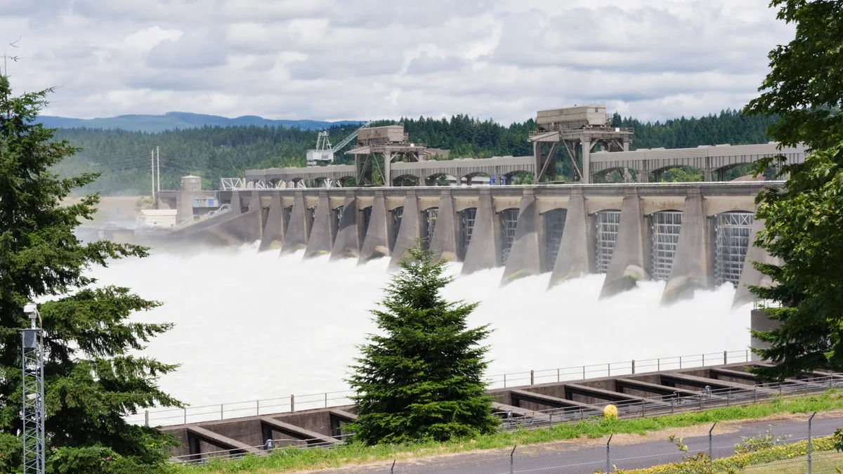 The spillway at a Bonneville Power Administration dam on the Columbia River.