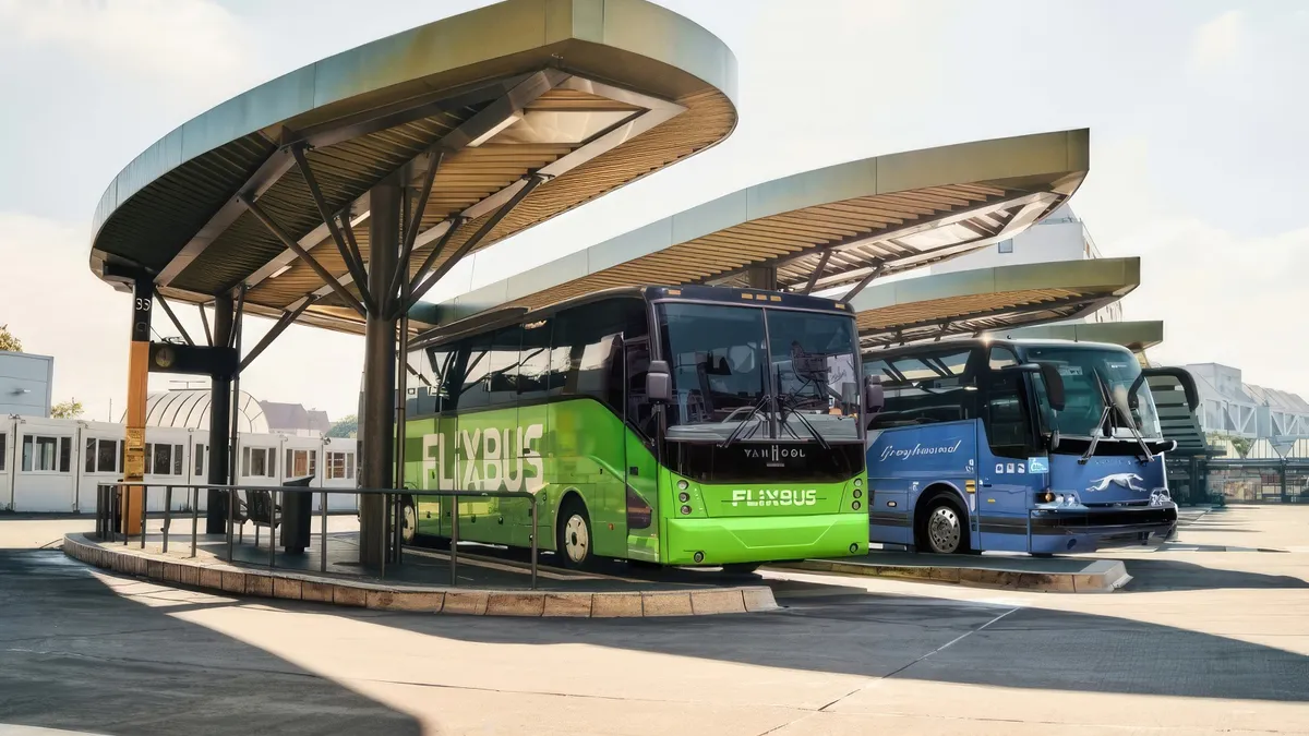 FlixBus and Greyhound motor coaches parked at an open-air bus station.