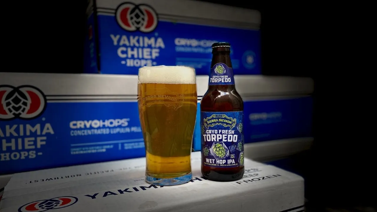 A pint glass full of beer and a bottle of Cryo Fresh Torpedo Wet Hop IPA sit among boxes of the beer.
