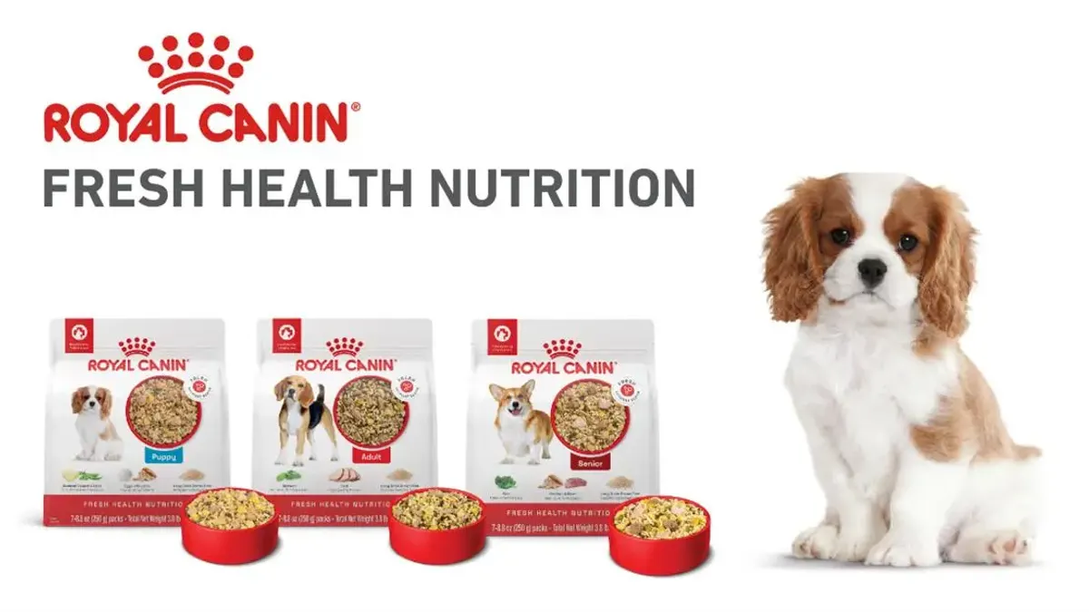 Three bags and bowls of Royal Canin dog feed, with a Spaniel puppy on the left.