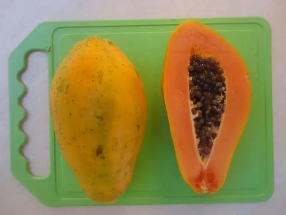 Deadly salmonella outbreak from imported papayas exposes food