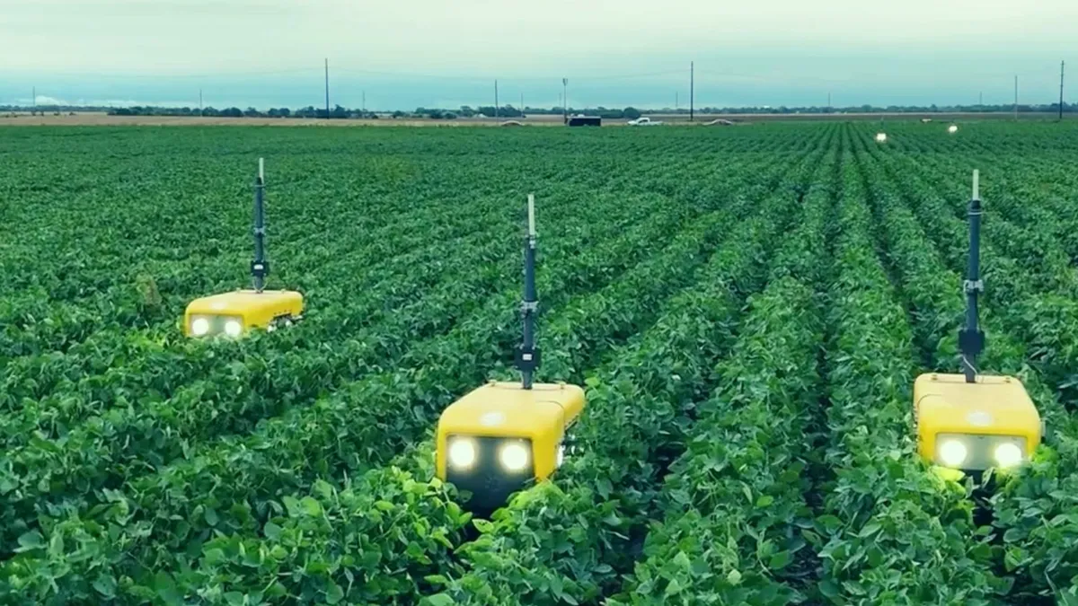 Yellow, square-shaped robots roam a farm field