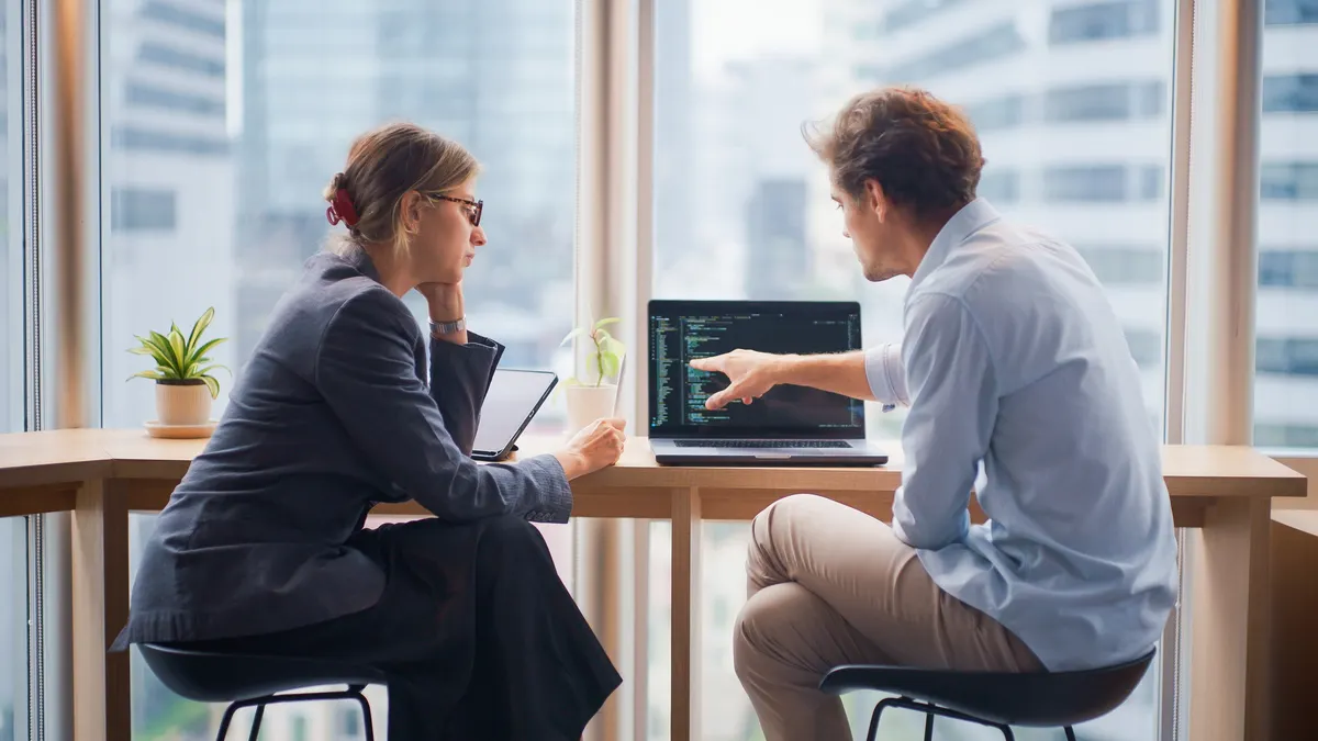 Business meeting between executive and software developer