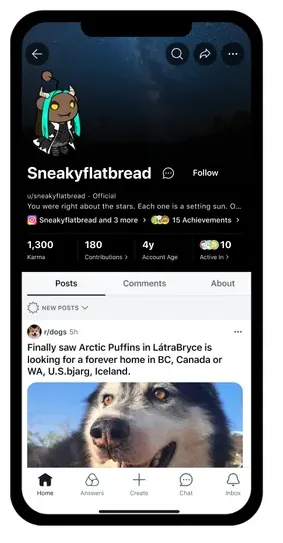 Reddit profile update