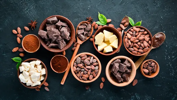 Bowls and spoons filled with cocoa beans, cocoa powder, cocoa butter, and chocolate chunks arranged on a dark surface.