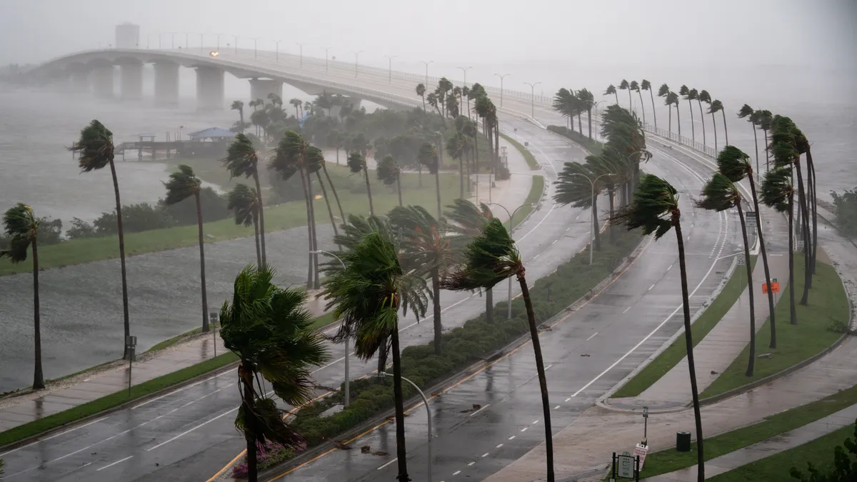 Trees sway along a highway under the stress of hurricane-force winds.