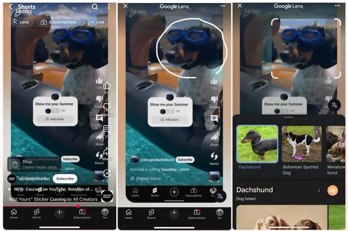 YouTube Shorts Lens Search