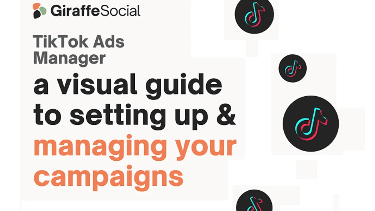 TikTok ads manager infographic