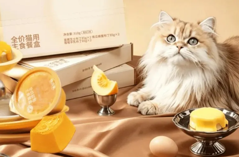 A cat is surrounded by objects including a dish of wet pet food and a sealed container with pet food.