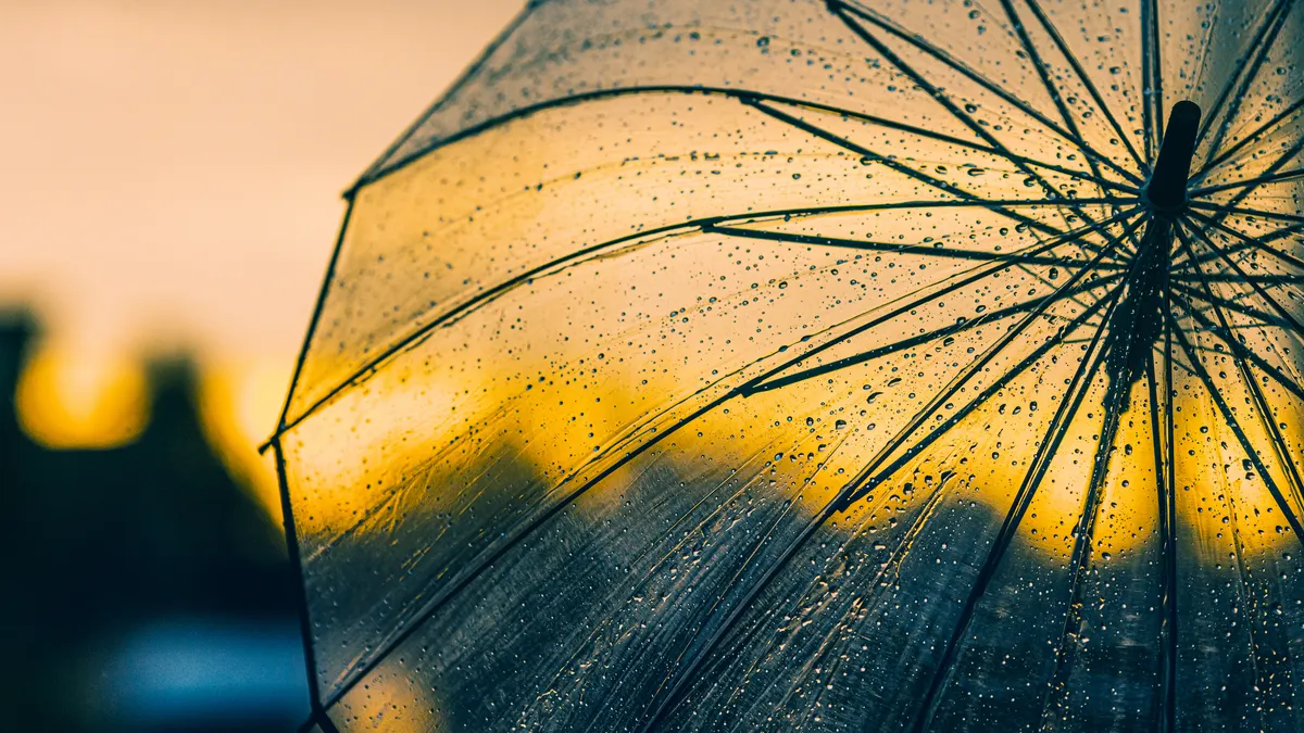 A transparent umbrella