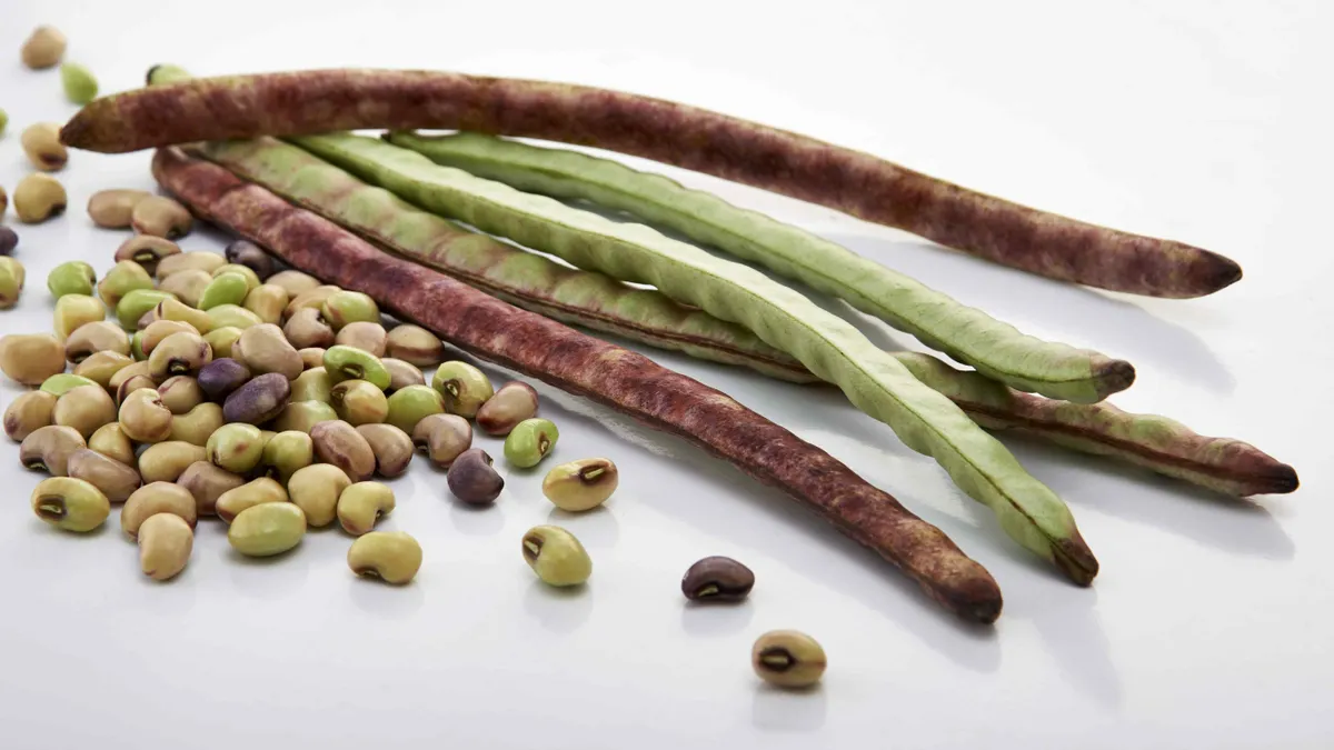Loose black-eyed peas lay next to the pods in which they grow on a white surface