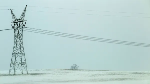 High voltage power lines stand as dark skeletal monoliths against a stark sky filled with snow and the ground covered in snow.