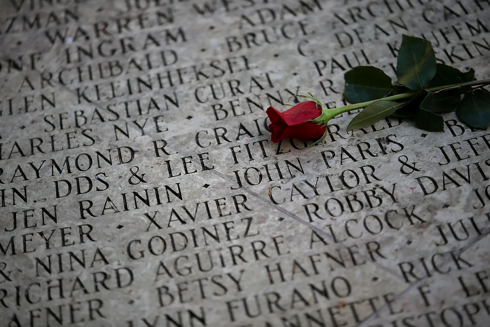 A flower lays on the engraved names of AIDS victims at the National AIDS Memorial Grove in San Francisco, California.