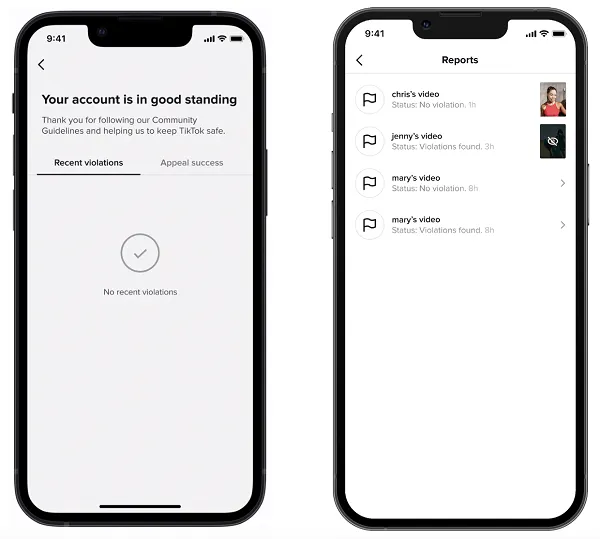 TikTok Account Status