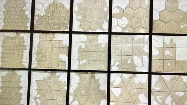 UPenn, Syracuse University, elephant skin tiles