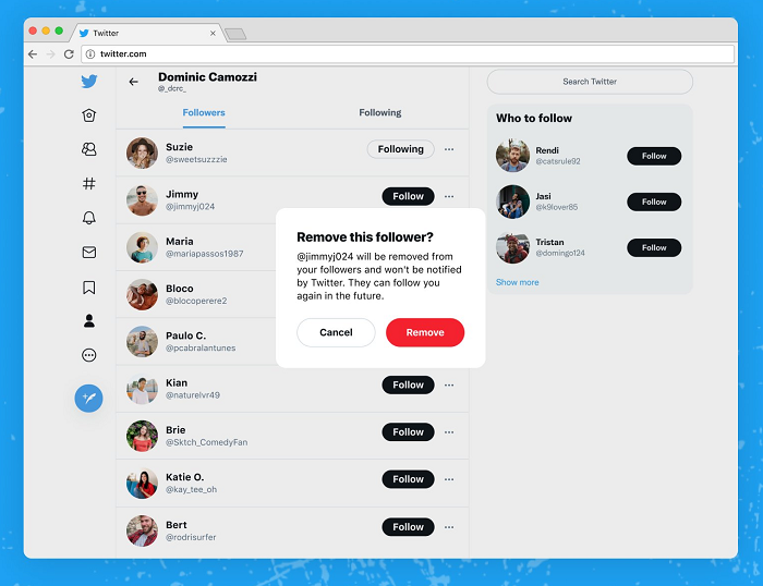 Remove followers on Twitter example