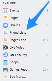 Facebook 'Friends List' in the Facebook sidebar