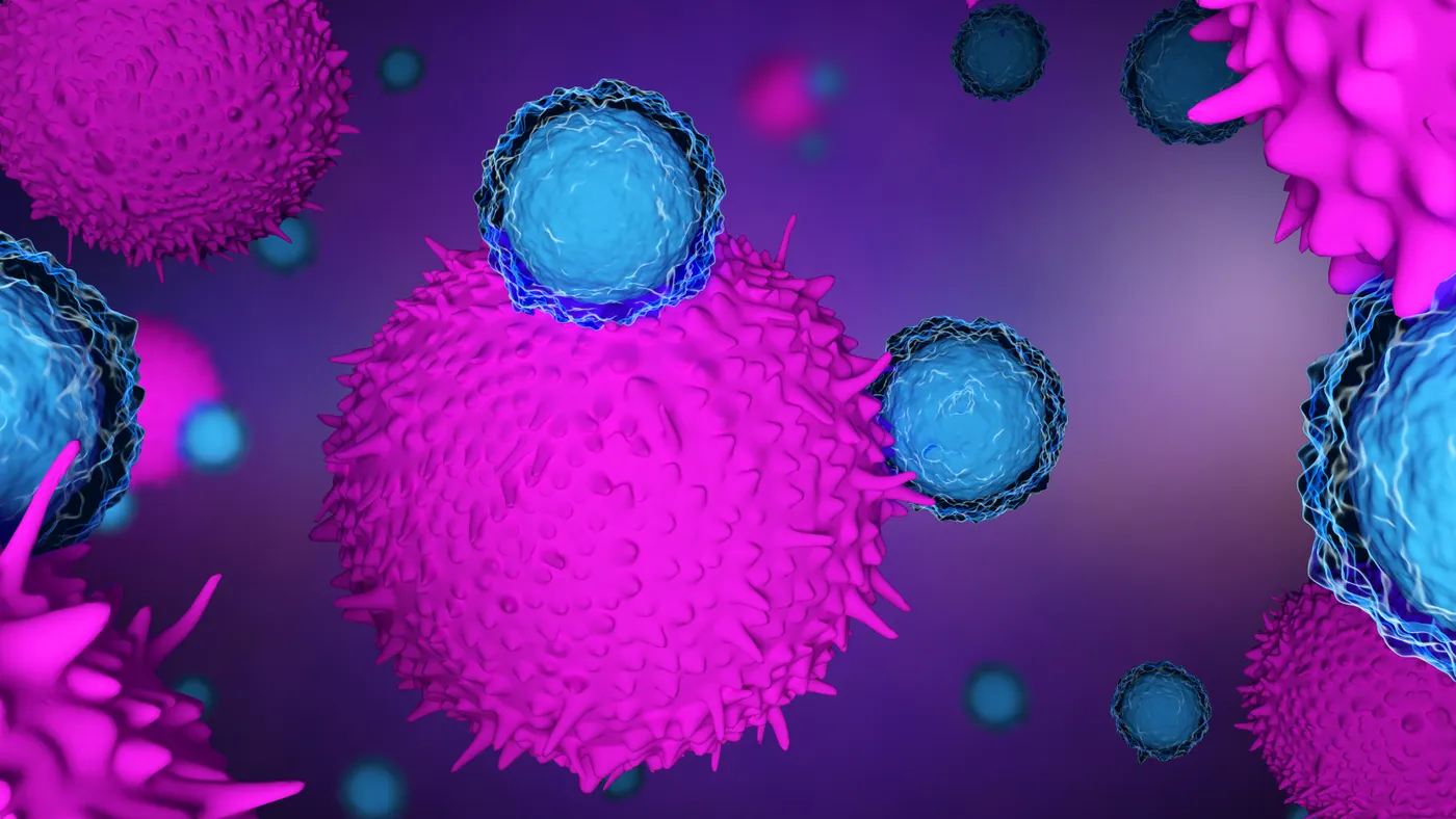 An illustration of immune cells attacking a tumor.