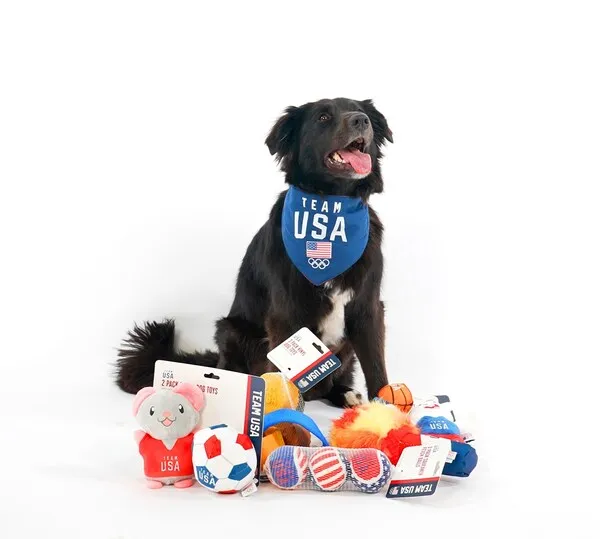 Dog wearing Team USA PetSmart merch