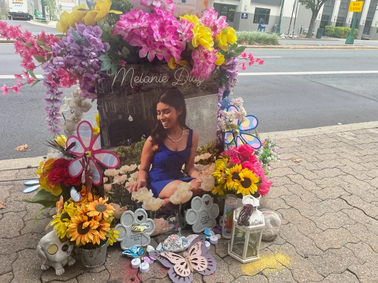 A photograph of a person in a blue dress, sitting in a field of flowers, propped up on a sidewalk in front of a road. The picture reads &quot;Melanie Diaz.&quot; It is surrounded on all sides by flowers, candles and other decorations.