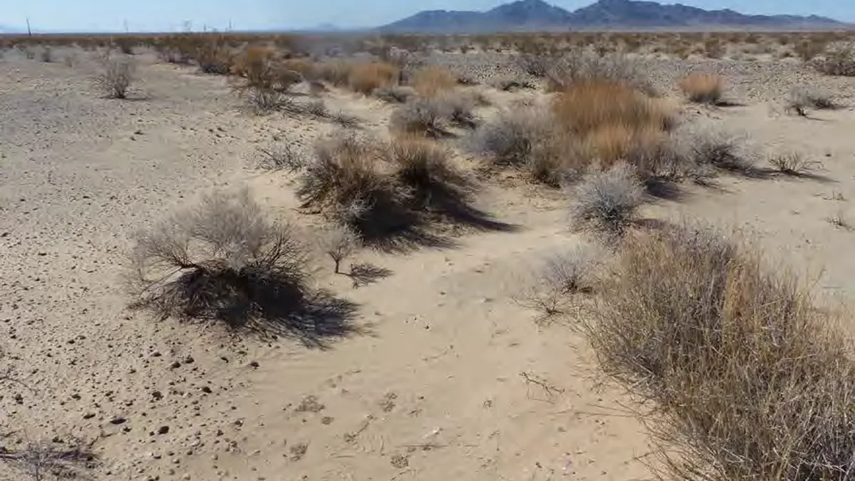 Desert Quartzite project site