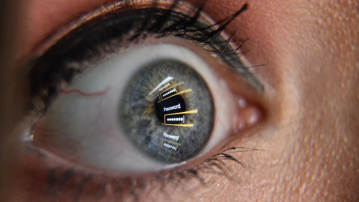 A password field reflected on a eye.