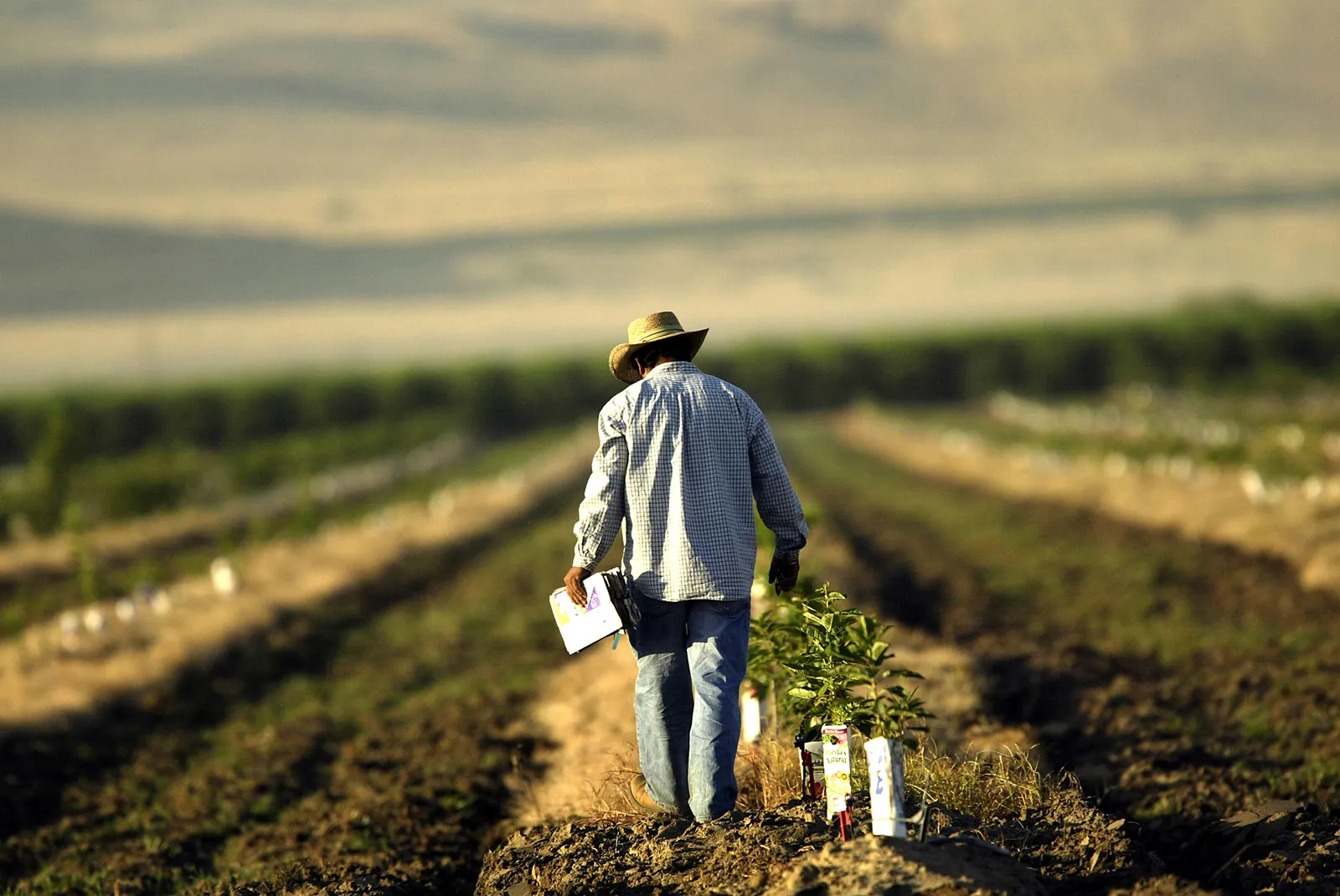 Farm Bill