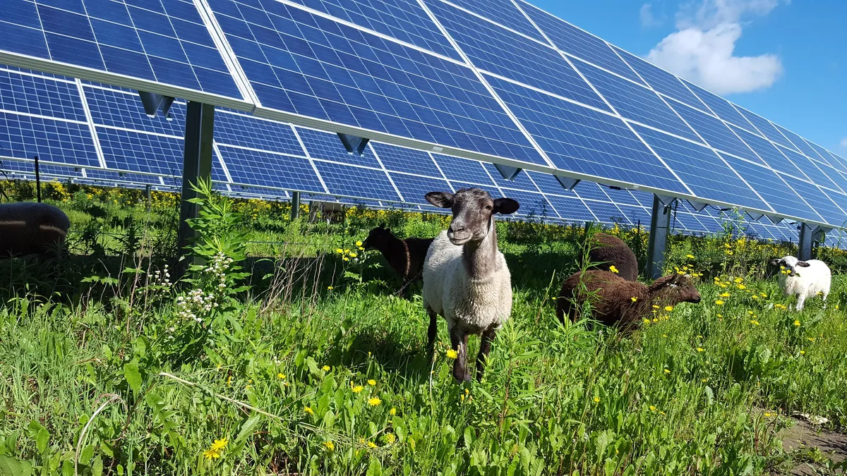 Enel Green Power's 150 MW Aurora Creek solar project