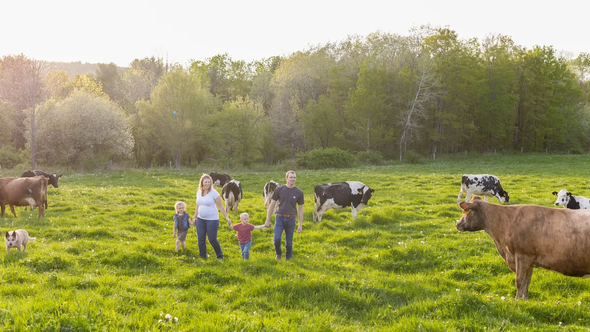 Field of cattle and humans