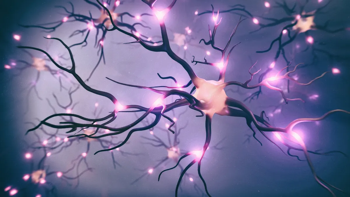 A 3D visualization of neurons and neural network with signals.