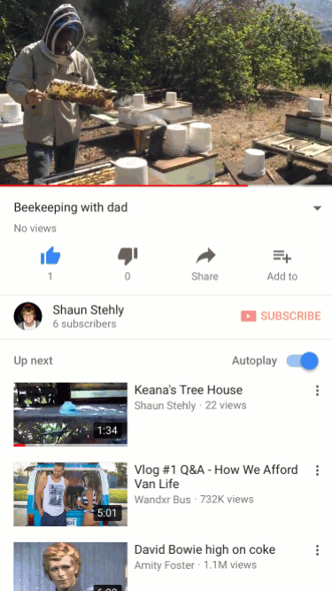 Vertical video in the YouTube app
