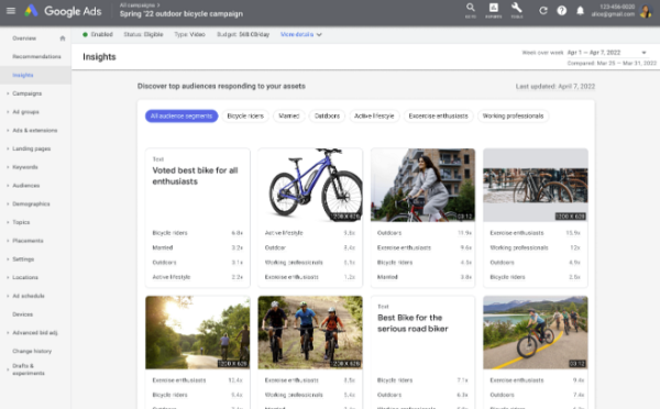 Google Performance Max insights