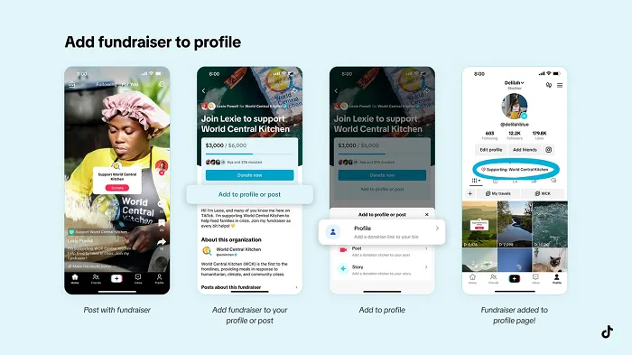 TikTok charitable causes
