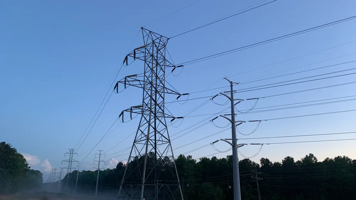 Transmission lines in the woods.