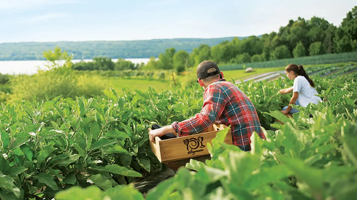 Wegmans organic farm