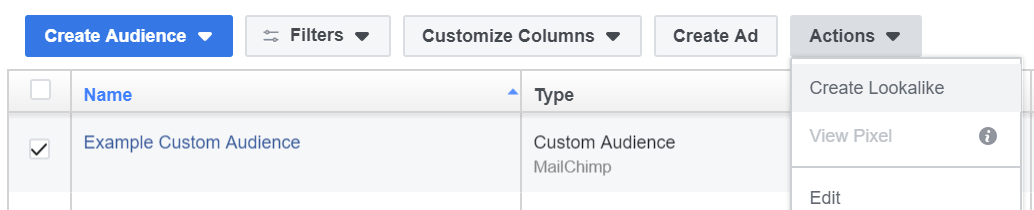 Create Custom Audience