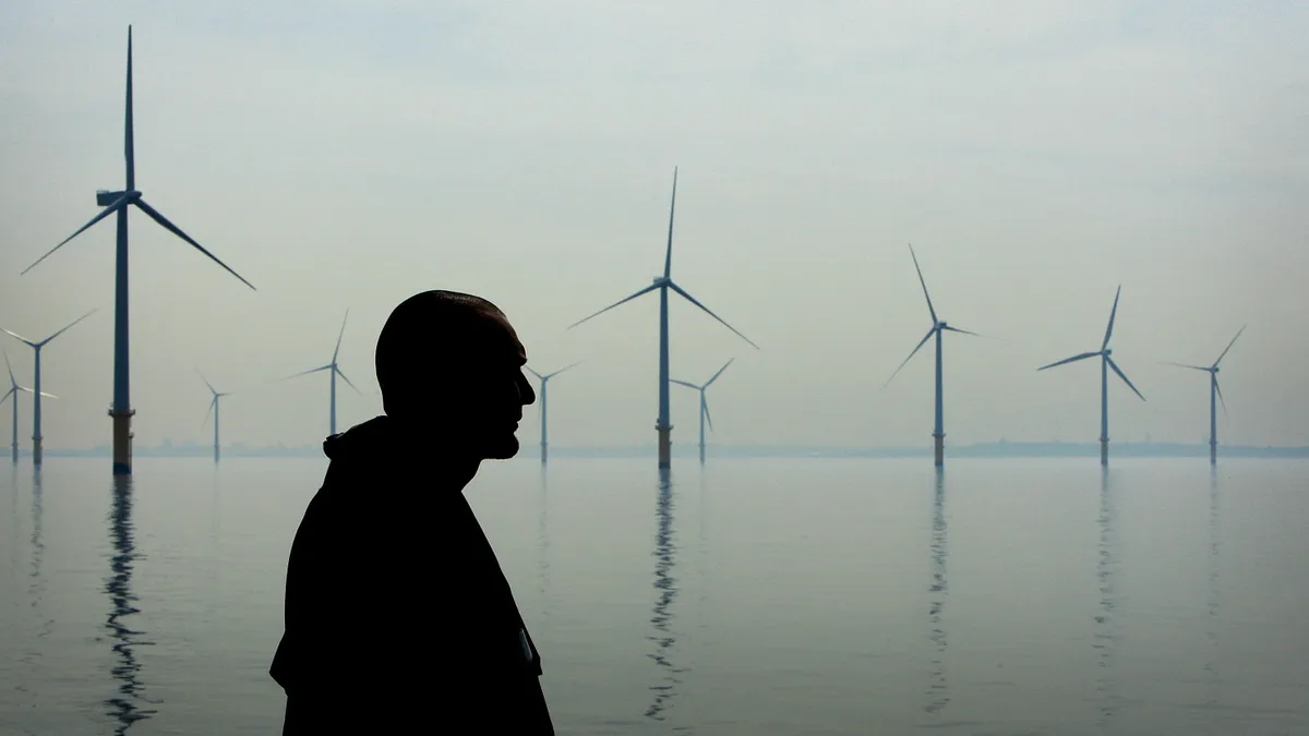 A person looks out over the turbines across the river.