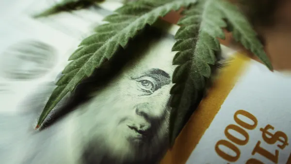 A marijuana leaf lays over a $100 bill