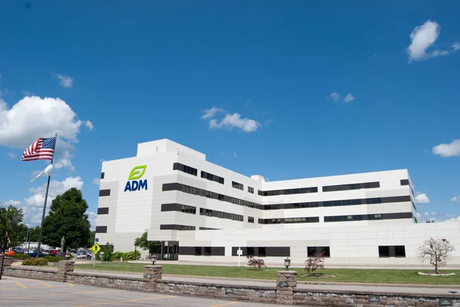 ADM to cut up to 700 jobs, sell assets as nutrition segment faces headwinds