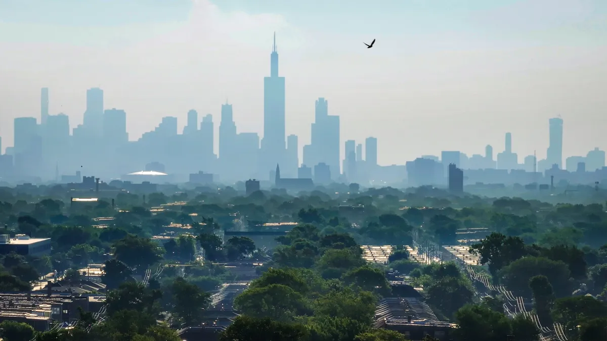 Aerial shot of trees in front of Chicago skyline