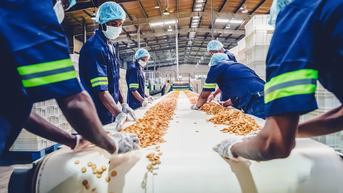 Production line workers dressed in blue uniforms with yellow stripes on sleeves and wearing a white mask and blue hairnet, collecting baked biscuits from the conveyor belt .