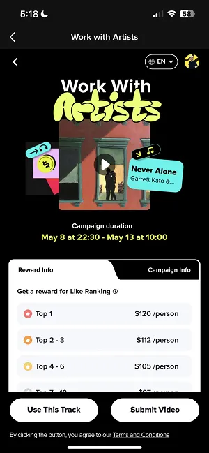 TikTok Work with Artists